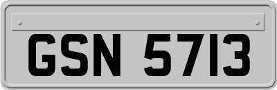 GSN5713