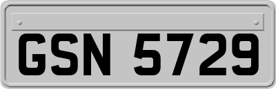 GSN5729
