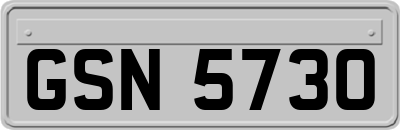 GSN5730