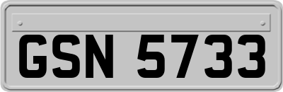 GSN5733
