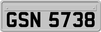 GSN5738