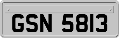 GSN5813