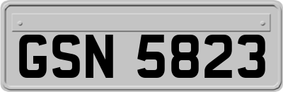 GSN5823