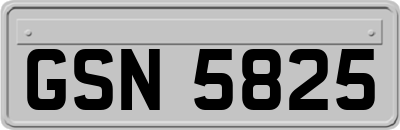 GSN5825
