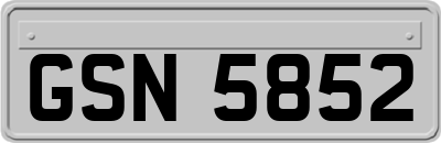 GSN5852