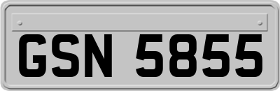 GSN5855