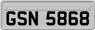 GSN5868