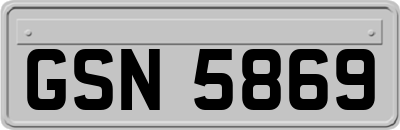 GSN5869