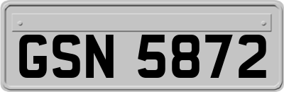 GSN5872