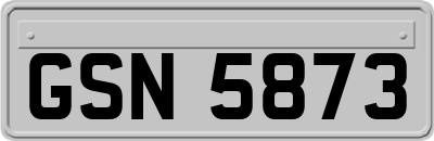 GSN5873