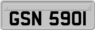 GSN5901