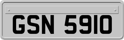 GSN5910