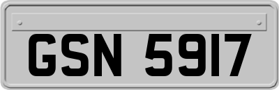 GSN5917