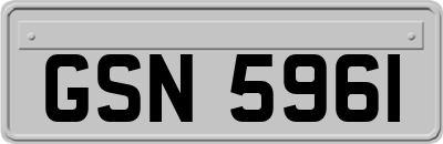 GSN5961