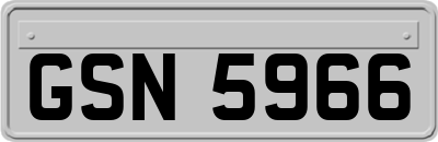 GSN5966