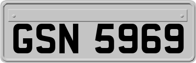 GSN5969