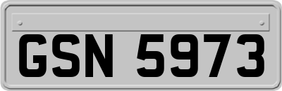 GSN5973