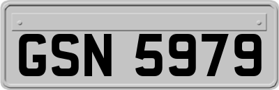 GSN5979