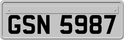 GSN5987