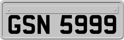 GSN5999