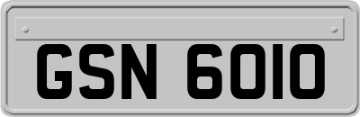 GSN6010