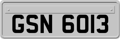 GSN6013