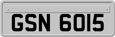 GSN6015