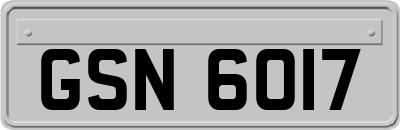 GSN6017