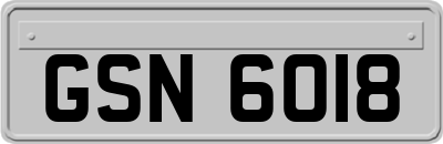 GSN6018