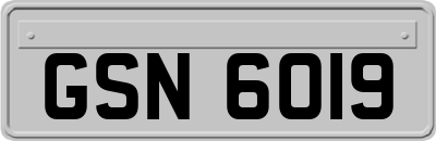 GSN6019