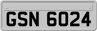 GSN6024