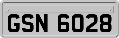 GSN6028