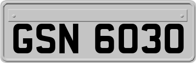 GSN6030