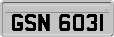 GSN6031