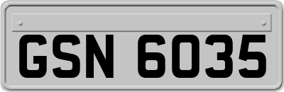 GSN6035