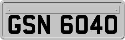 GSN6040