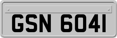 GSN6041