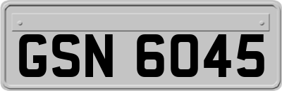 GSN6045