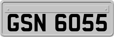 GSN6055