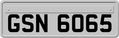 GSN6065