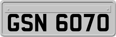 GSN6070