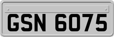GSN6075