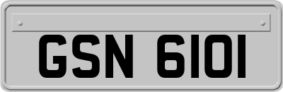 GSN6101