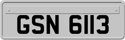 GSN6113