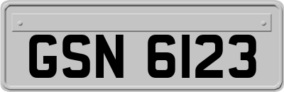 GSN6123