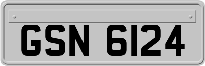 GSN6124