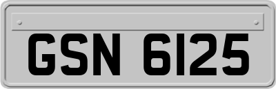 GSN6125