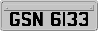 GSN6133