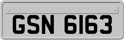 GSN6163