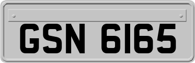 GSN6165